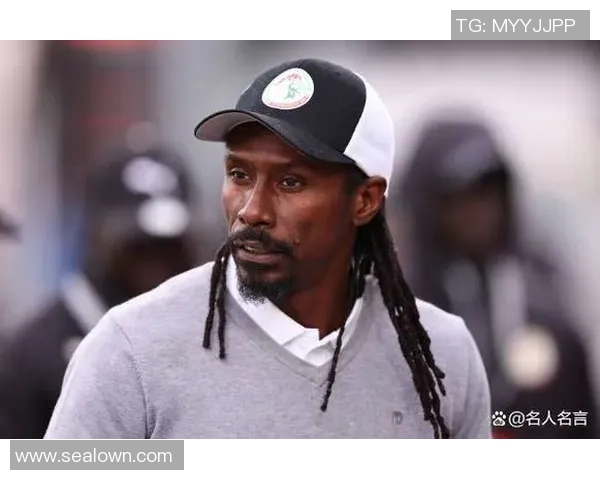 黑人足球运动员在全球足球界的比例分析与影响探讨