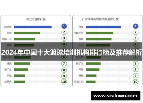 2024年中国十大篮球培训机构排行榜及推荐解析