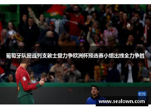 葡萄牙队迎战列支敦士登力争欧洲杯预选赛小组出线全力争胜